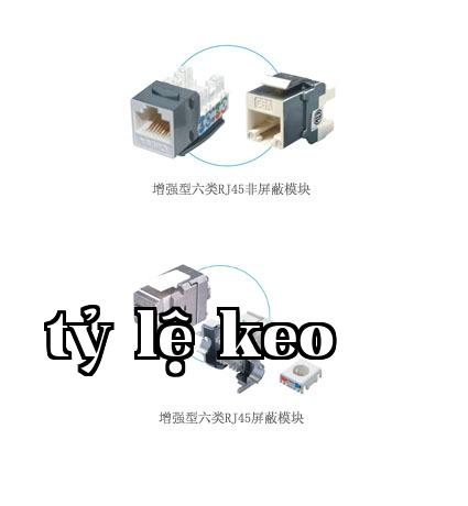 Mô-đun RJ45 loại 6