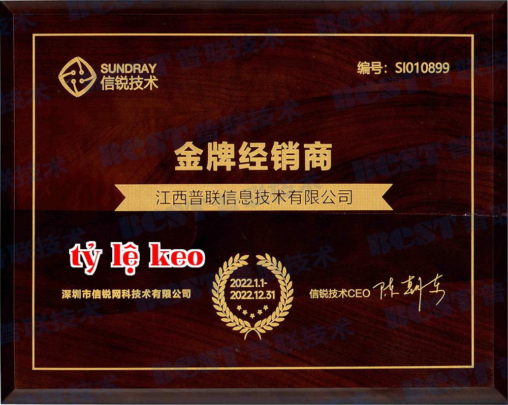 Bằng khen nhà phân phối vàng của Xinruyear 2022 Bằng khen nhà phân phối vàng của Xinruyear 2022