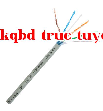 Dây cáp truyền thông kỹ thuật số loại Class Super 5 với 4 cặp được bảo vệ